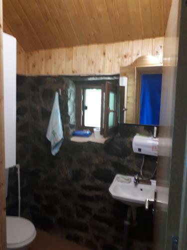Lodge Cabanutele Ale