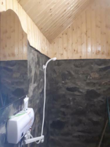 Lodge Cabanutele Ale