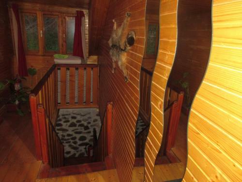Bed & Breakfast Pensiunea Mada Paradiso