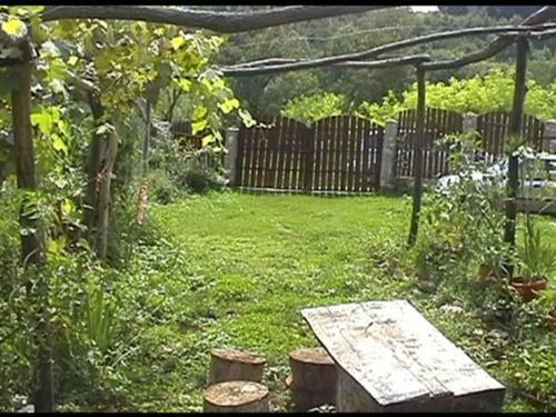 Bed & Breakfast Pensiunea Mada Paradiso