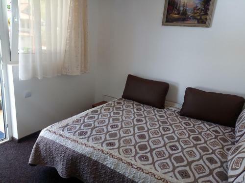 Hostal Pensiunea Serbeca