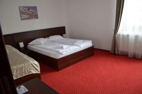 Hostal Pensiunea Campionilor