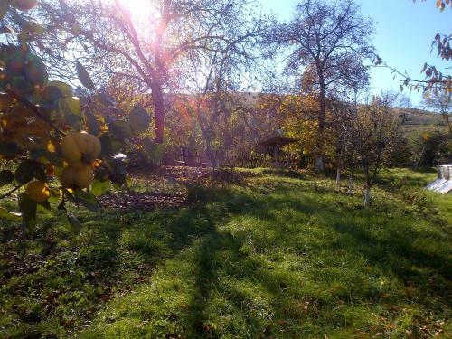 Agroturismo Casa Lui Craciun