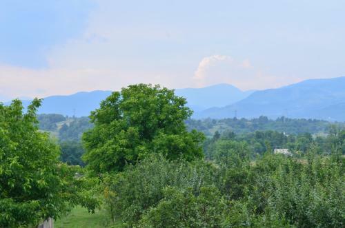 Agroturismo Pensiunea Koruna