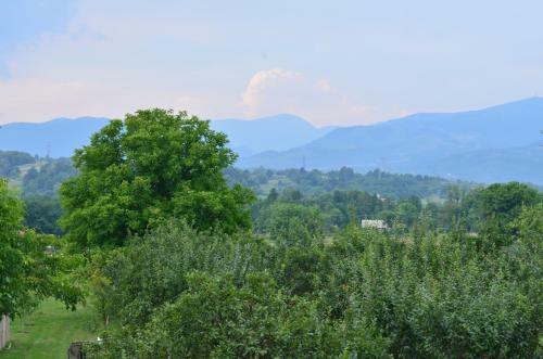 Agroturismo Pensiunea Koruna