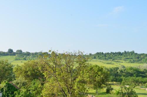 Agroturismo Pensiunea Koruna