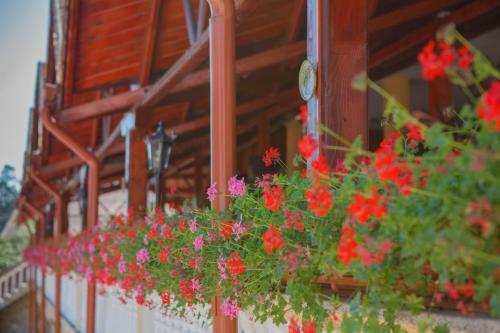 Hotel Complex Turistic Casa Romaneasca