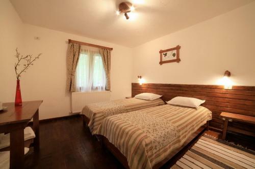 Hostal Pensiunea Dacica