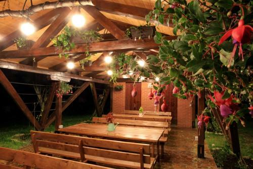 Hostal Pensiunea Dacica