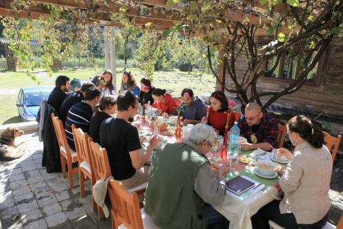 Hostal Pensiunea Dacica