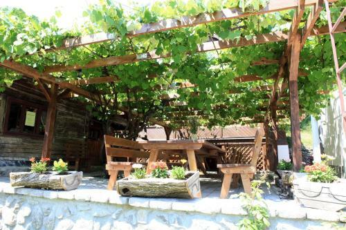 Hostal Pensiunea Dacica