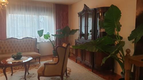 Apartamento Kikinda Peace Oaza