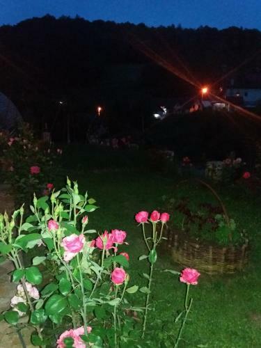 Hostal Guesthouse Filip