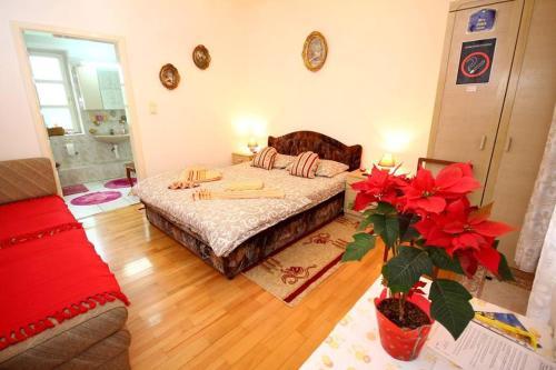 Hostal 3 Platana