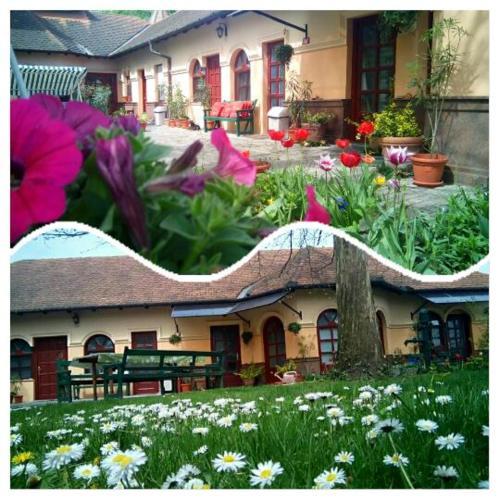 Hostal 3 Platana