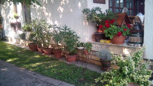 Hostal 3 Platana