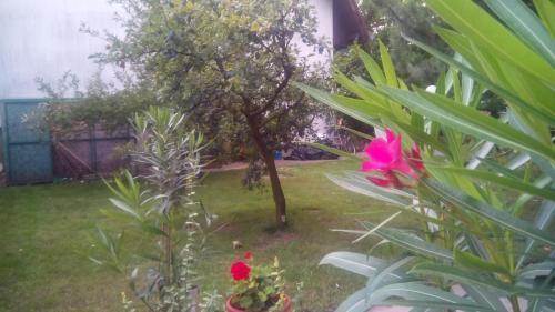 Hostal 3 Platana