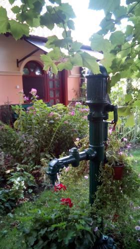 Hostal 3 Platana