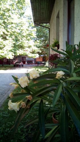 Hostal 3 Platana