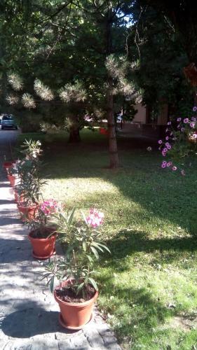 Hostal 3 Platana