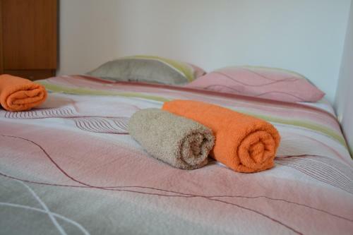 Hostel Somnium