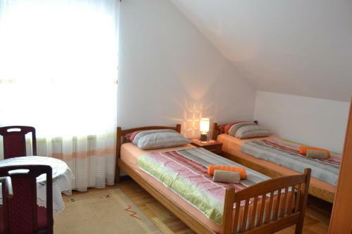 Hostel Somnium