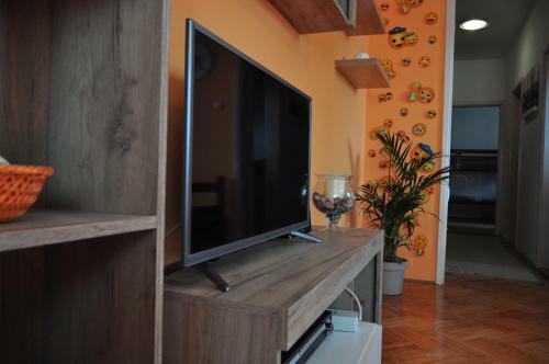 Hostel Somnium