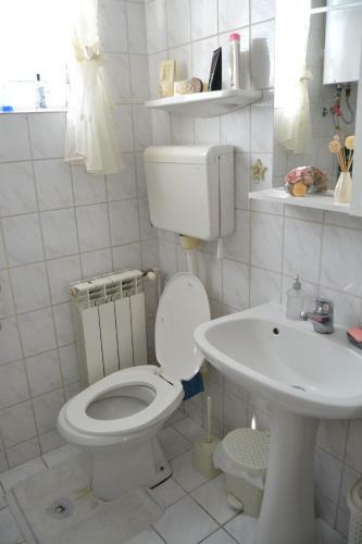 Hostel Somnium