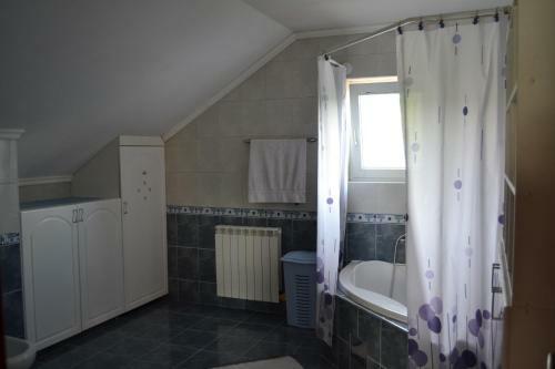 Hostel Somnium