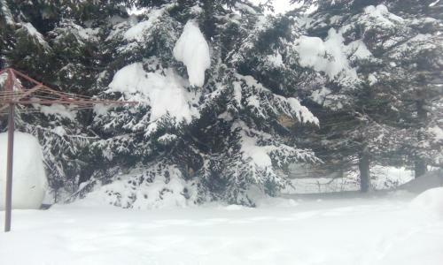 Apartmani Nais Zlatibor