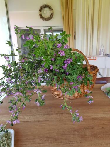 Agroturismo Konaciste Svedrana