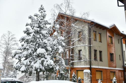 Apartman Zumbul