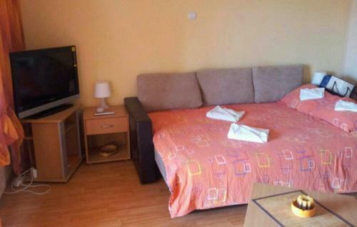 Apartment Radan M