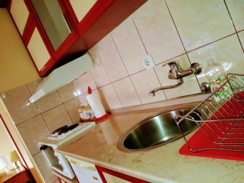 Apartment Radan M