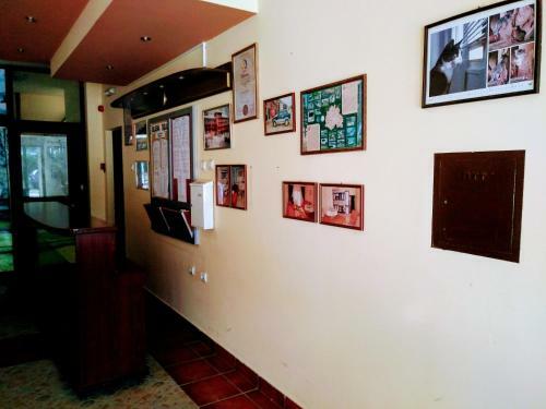 Apartment Radan M