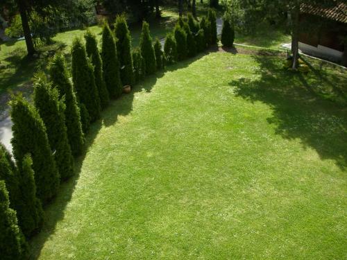 Apartments Vila Knez