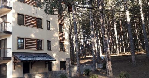 Apartamento Zlatibor Wood