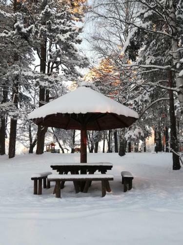 Apartamento Zlatibor Wood