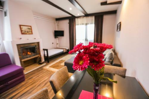 Apartamentos Div?ibarski Vajati