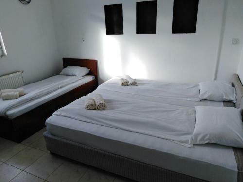 Hostel Sunce