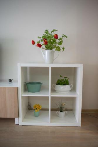 Apartment Milos