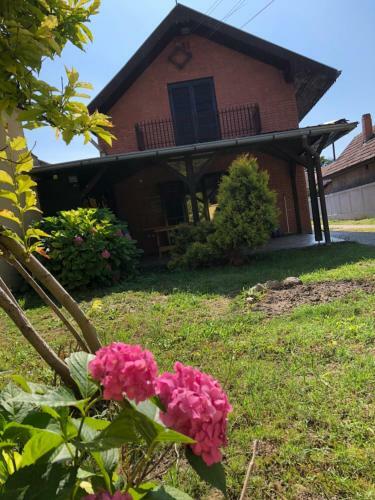 Flower Central House