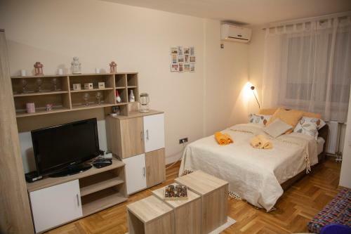 Apartment Vas Raj