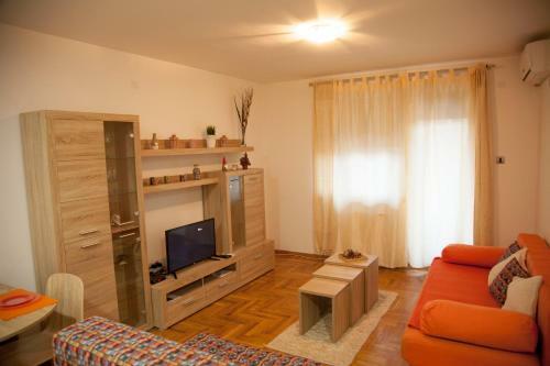 Apartment Vas Raj