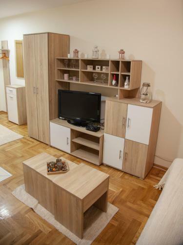 Apartment Vas Raj