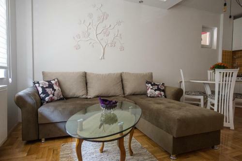 Apartamento Albatros City Center