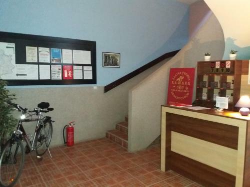 Apartments Zlatna Ribica