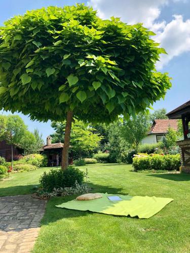 Hostal Villa Larus