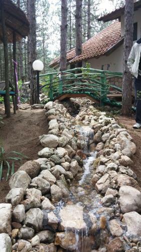 Hostal Guesthouse Bajka