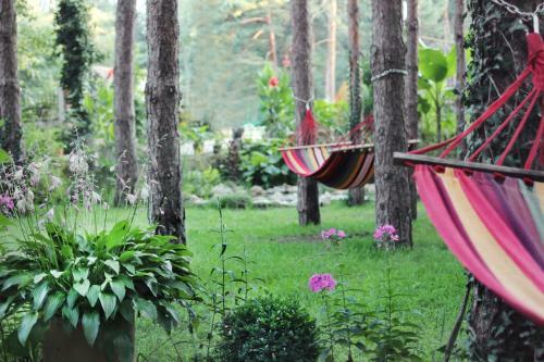 Hostal Vila Dunavski Raj
